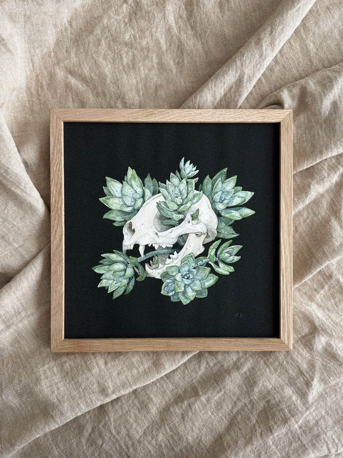 Cat Skull with Succulents Print 10x10
