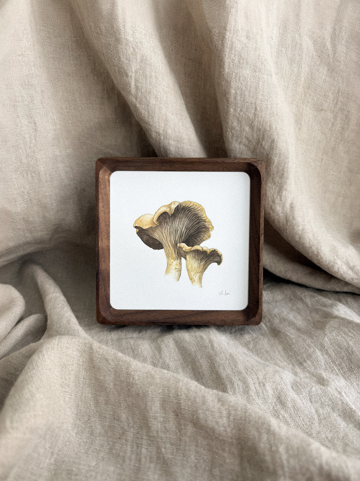 Chanterelle Mushrooms Mini Print 5x5