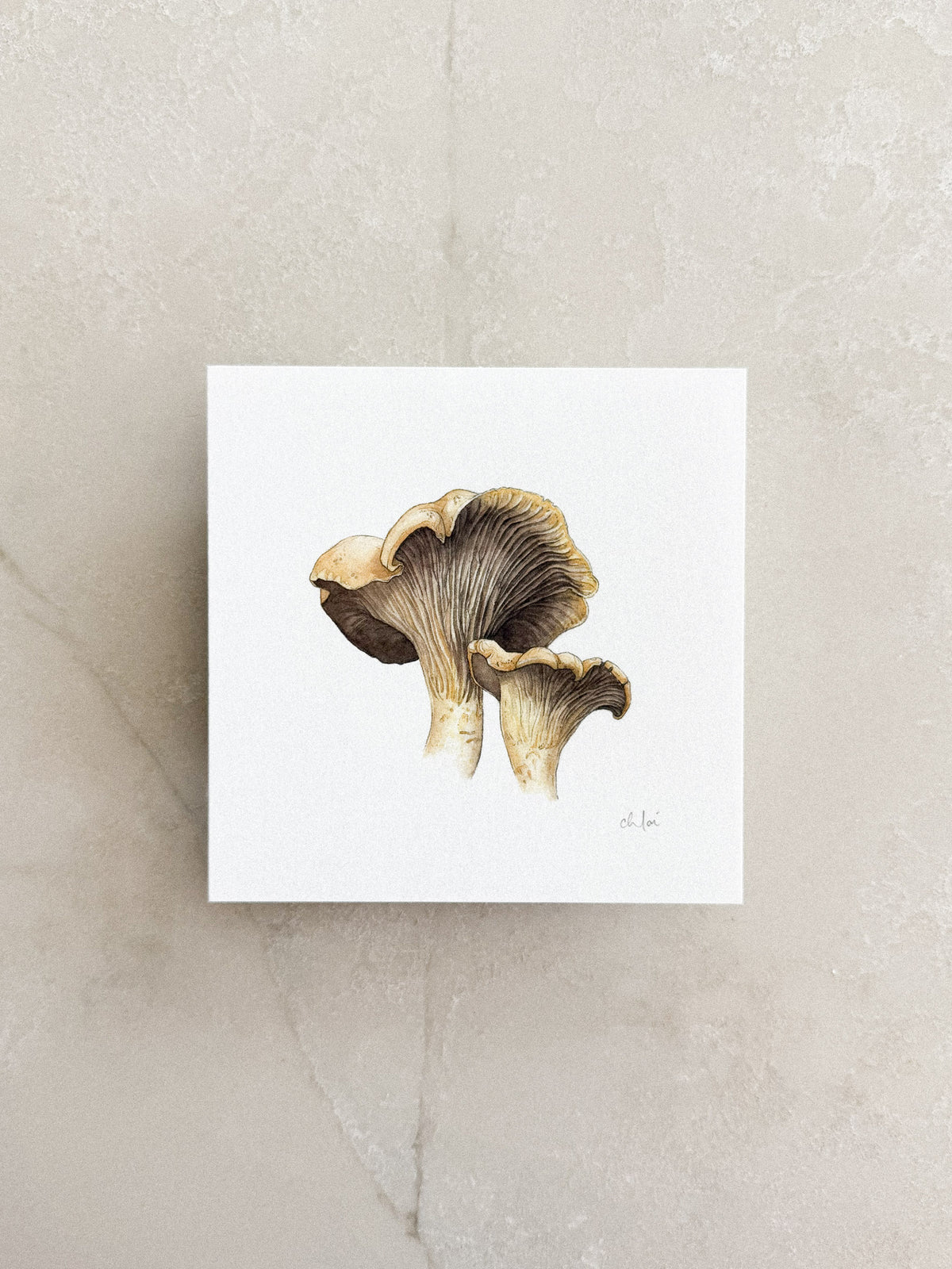 Chanterelle Mushrooms Mini Print 5x5