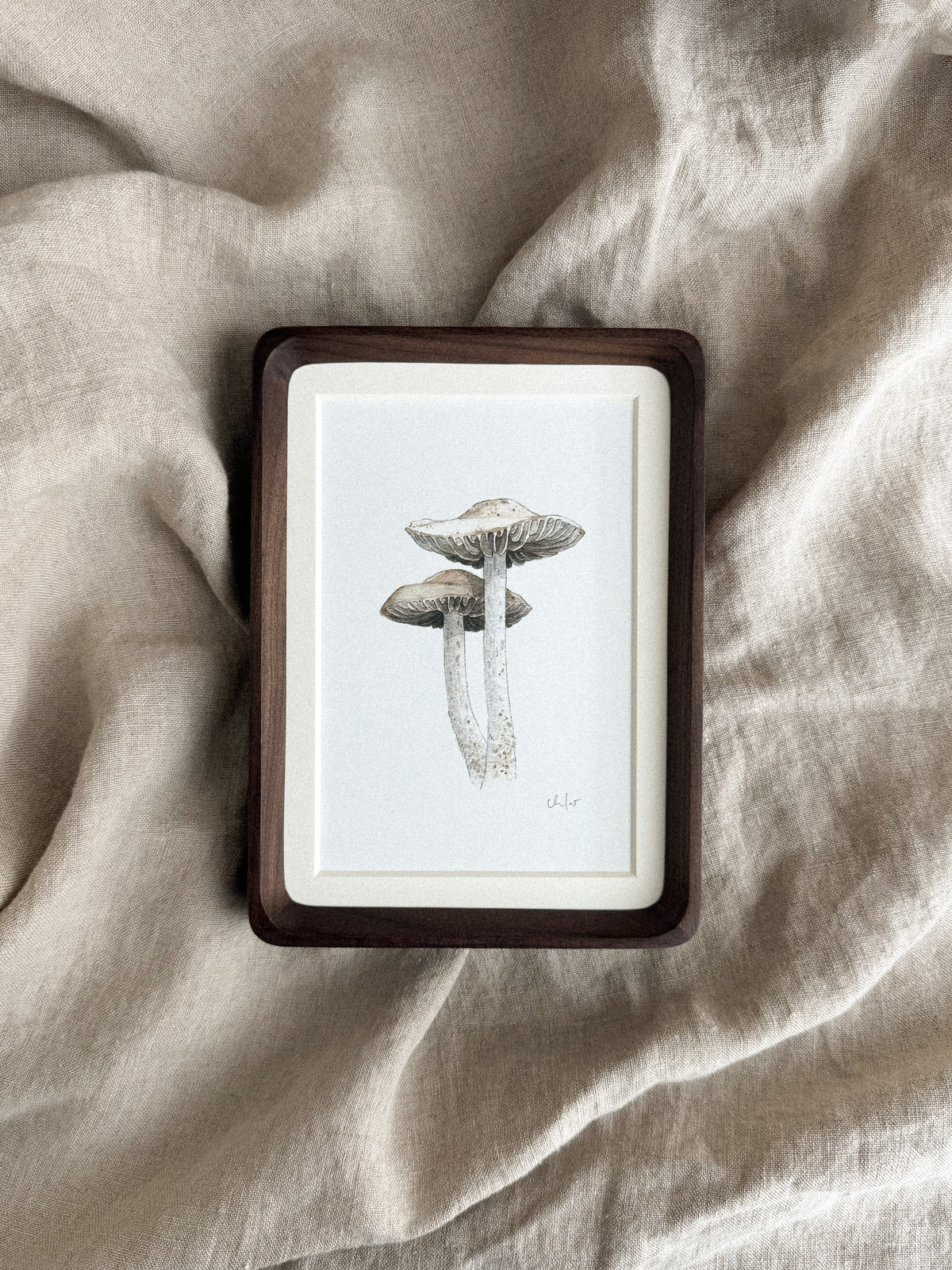 Fairy Ring Mushrooms Mini Print 4x6