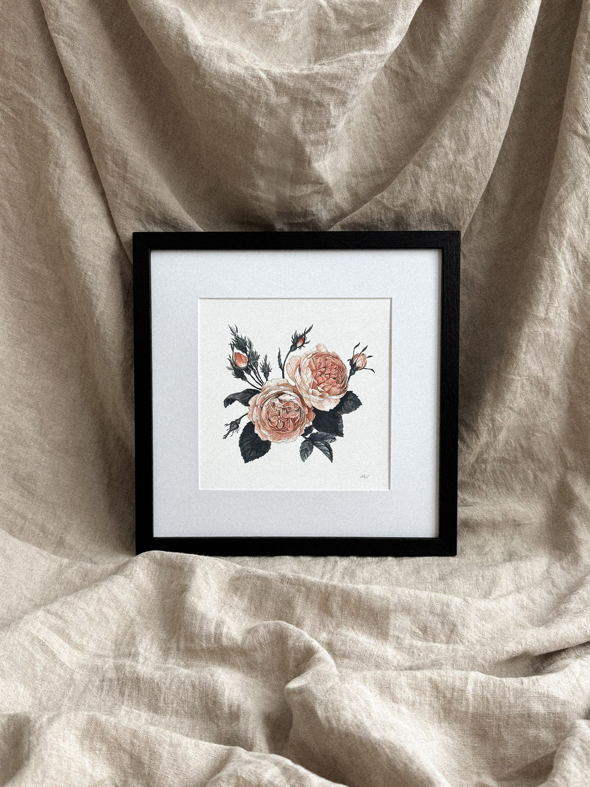 Garden Rose Print 8x8