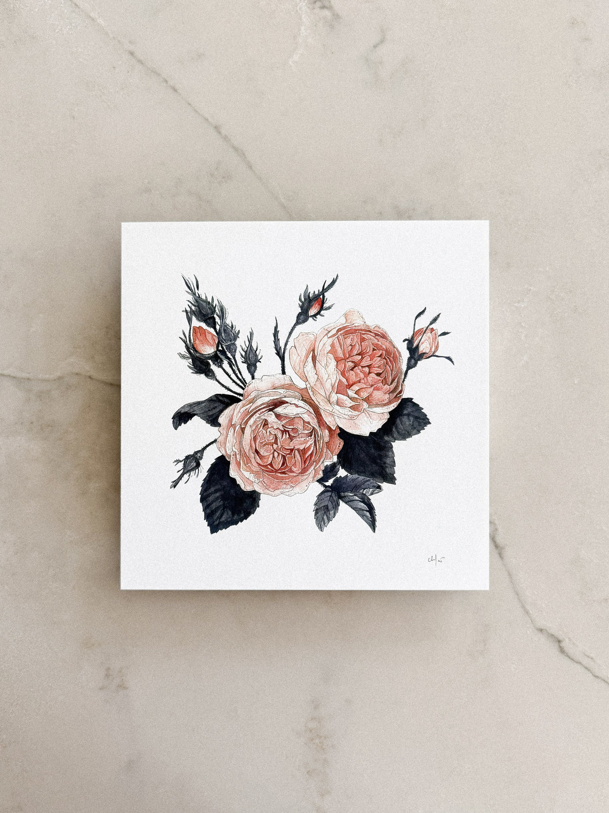 Garden Rose Print 8x8
