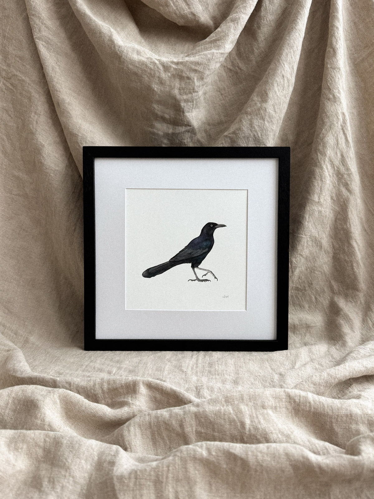 Grackle Print 8x8