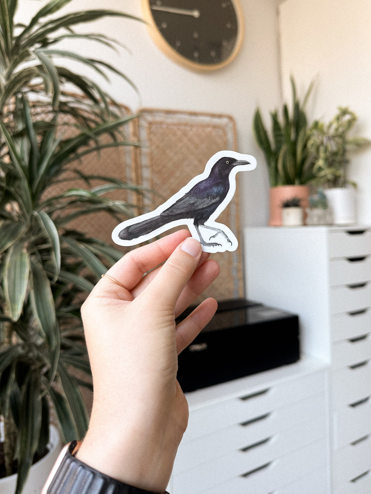 Grackle Sticker