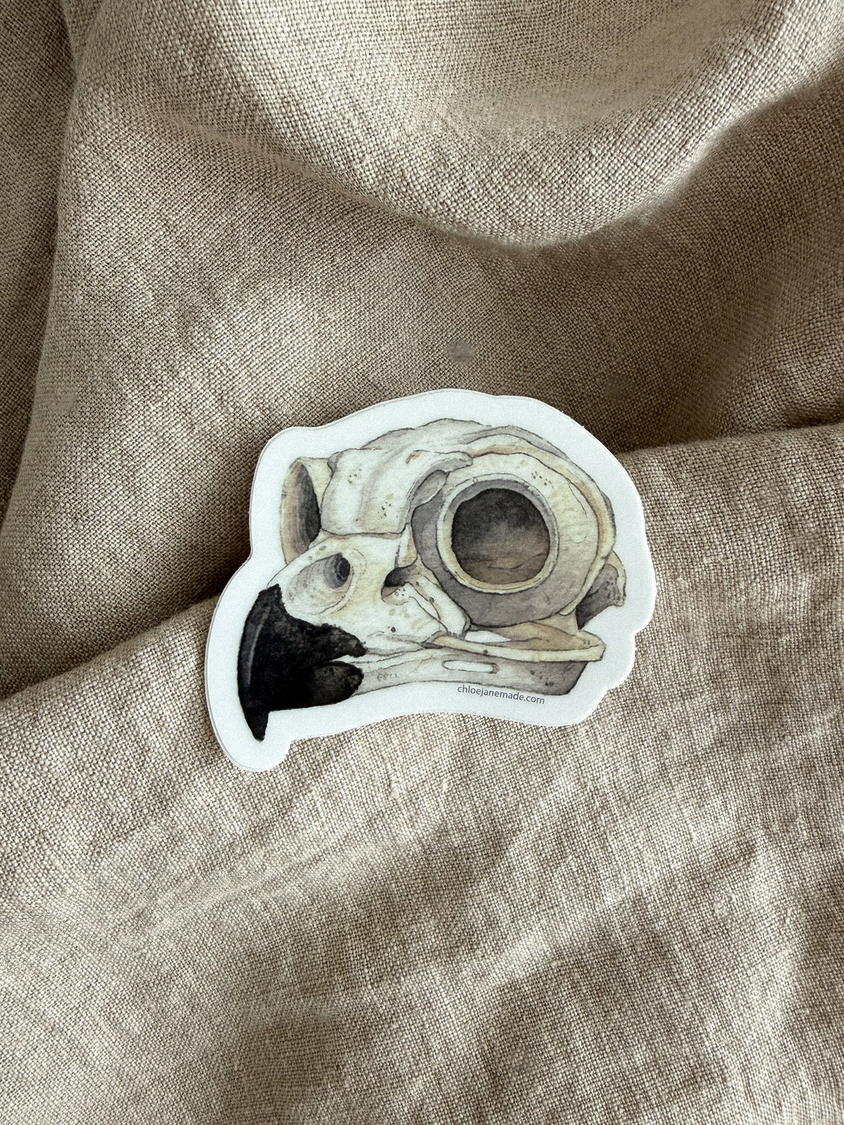 Great Horned Owl Skull Sticker