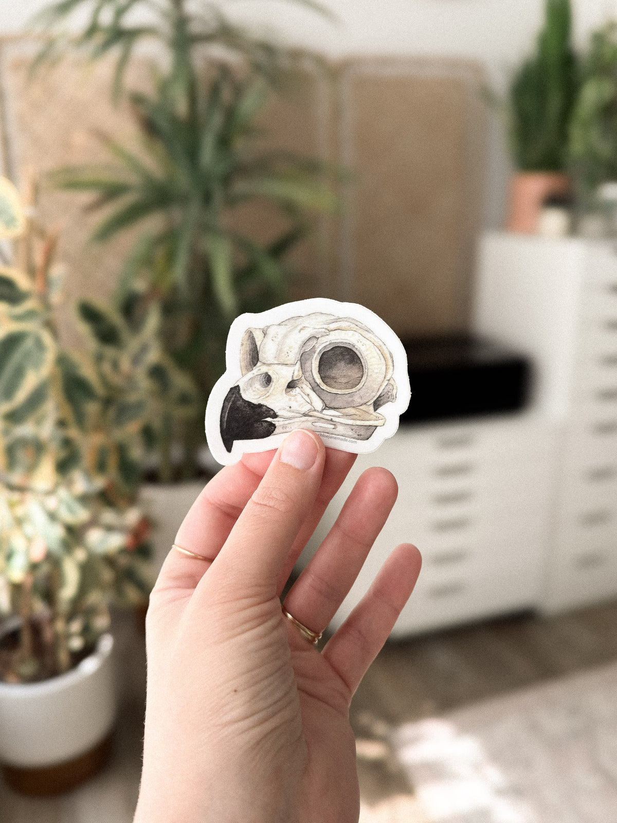 Great Horned Owl Skull Sticker