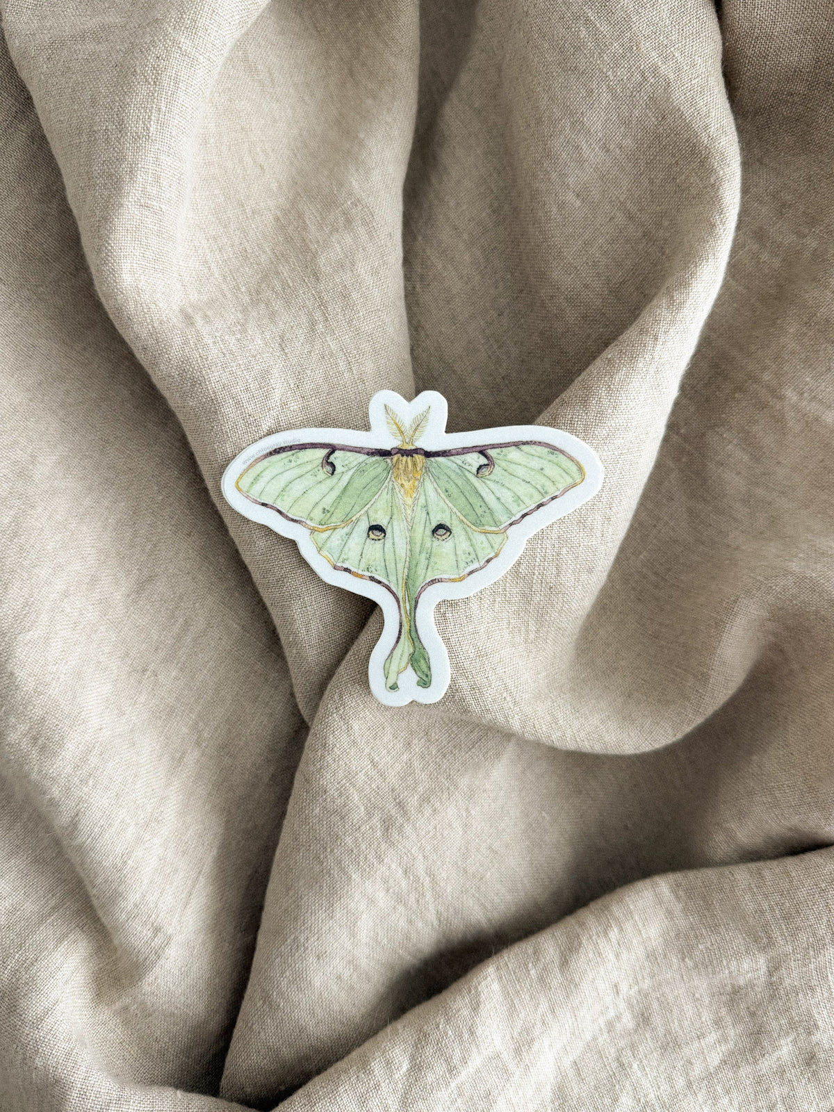 Luna Moth Sticker