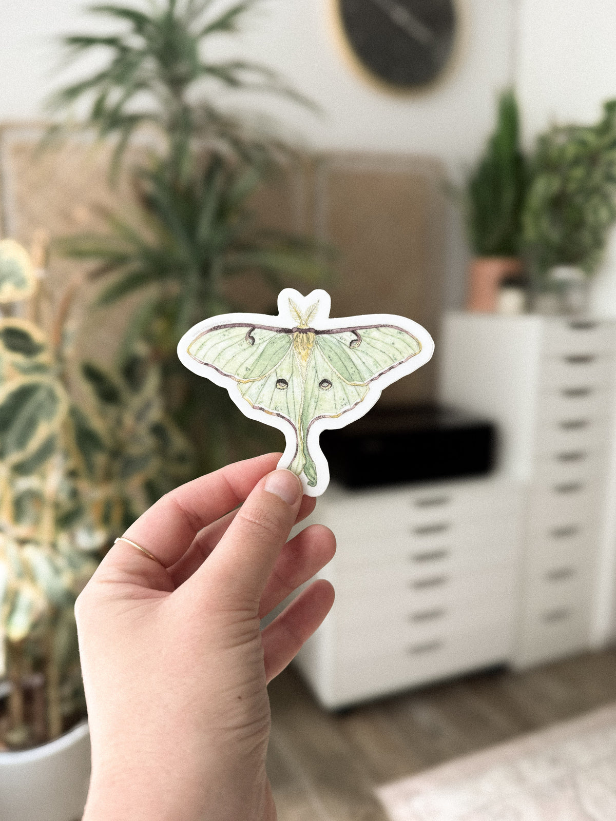 Luna Moth Sticker