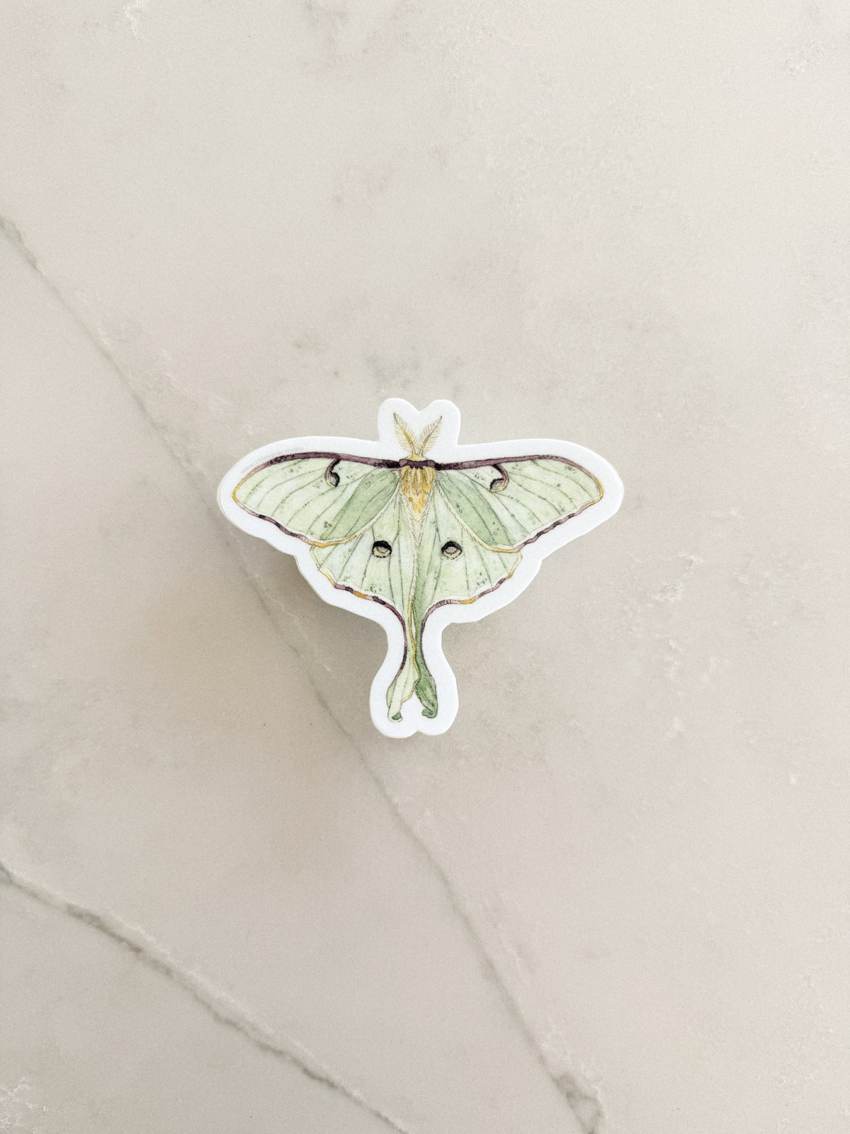Luna Moth Sticker