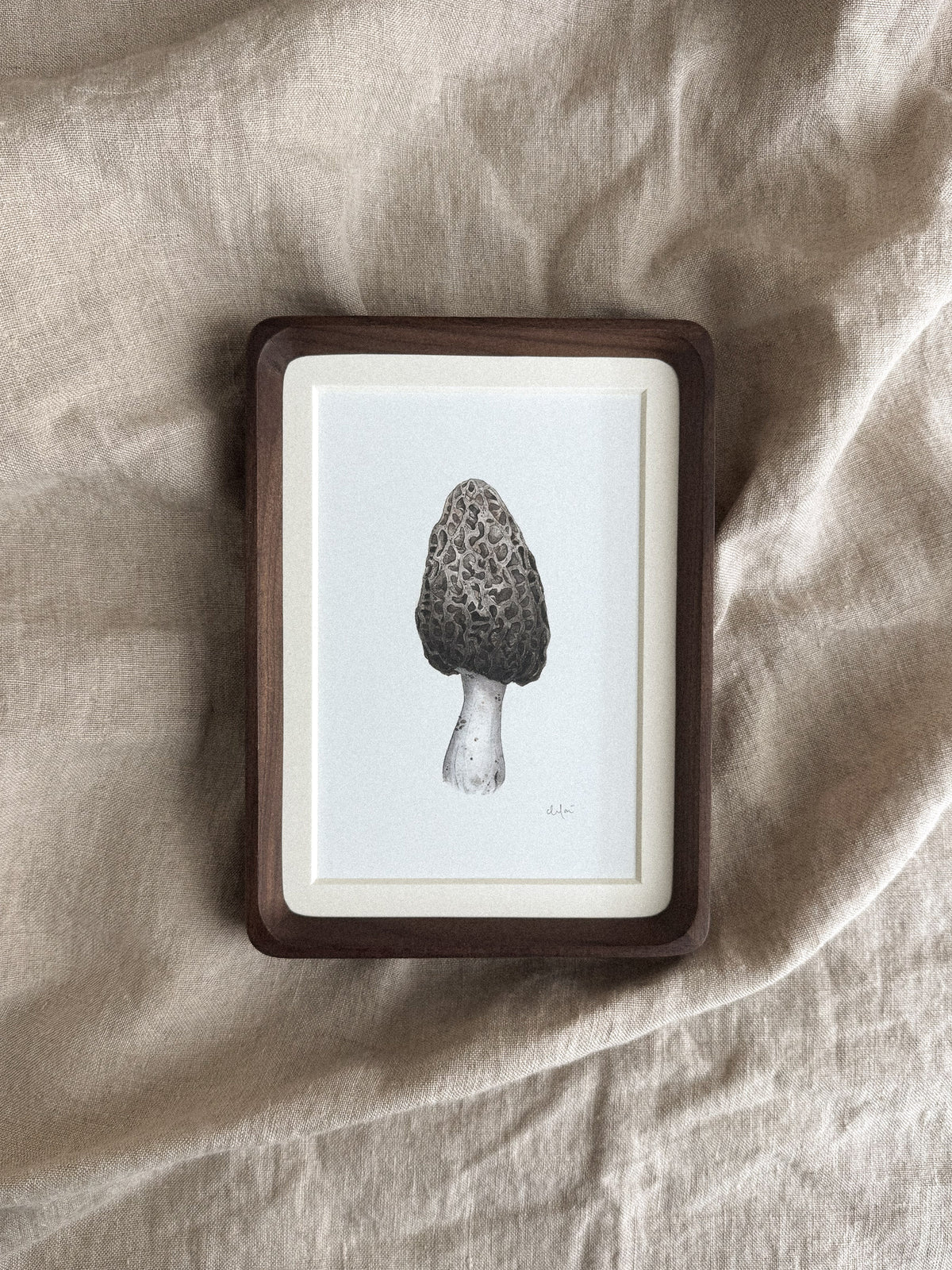 Morel Mushroom Mini Print 4x6