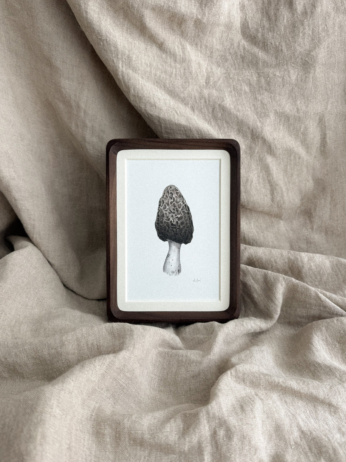 Morel Mushroom Mini Print 4x6