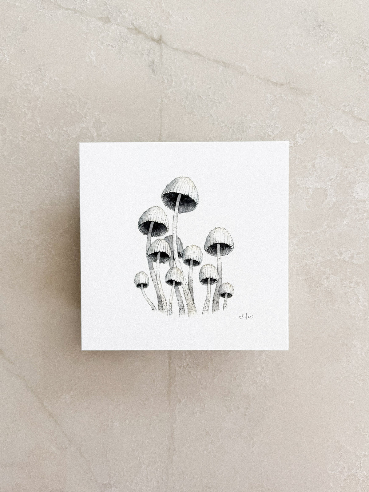 Mycena Mushrooms Mini Print 5x5