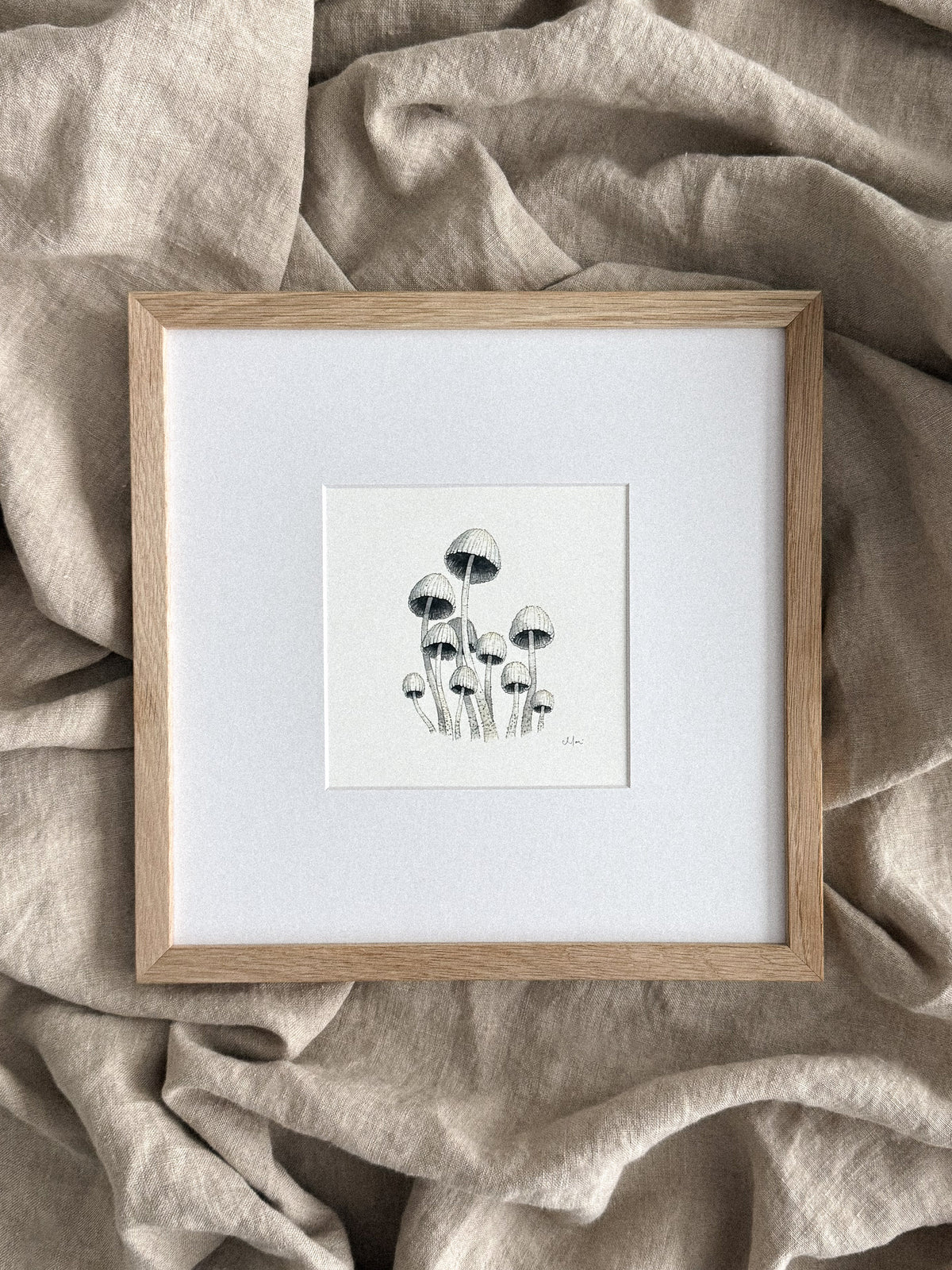 Mycena Mushrooms Mini Print 5x5