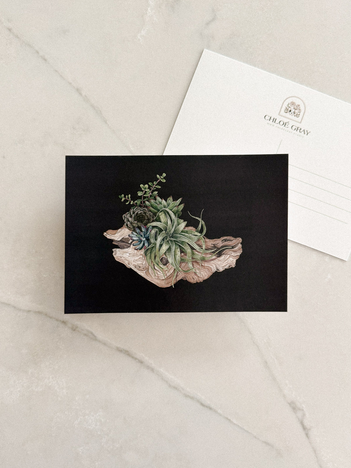 Nature Pact Postcard