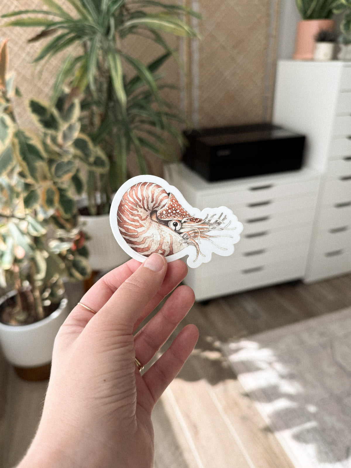 Nautilus Sticker