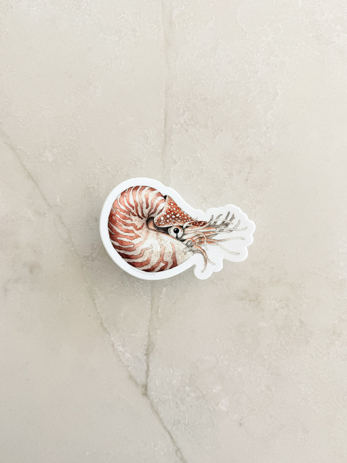 Nautilus Sticker