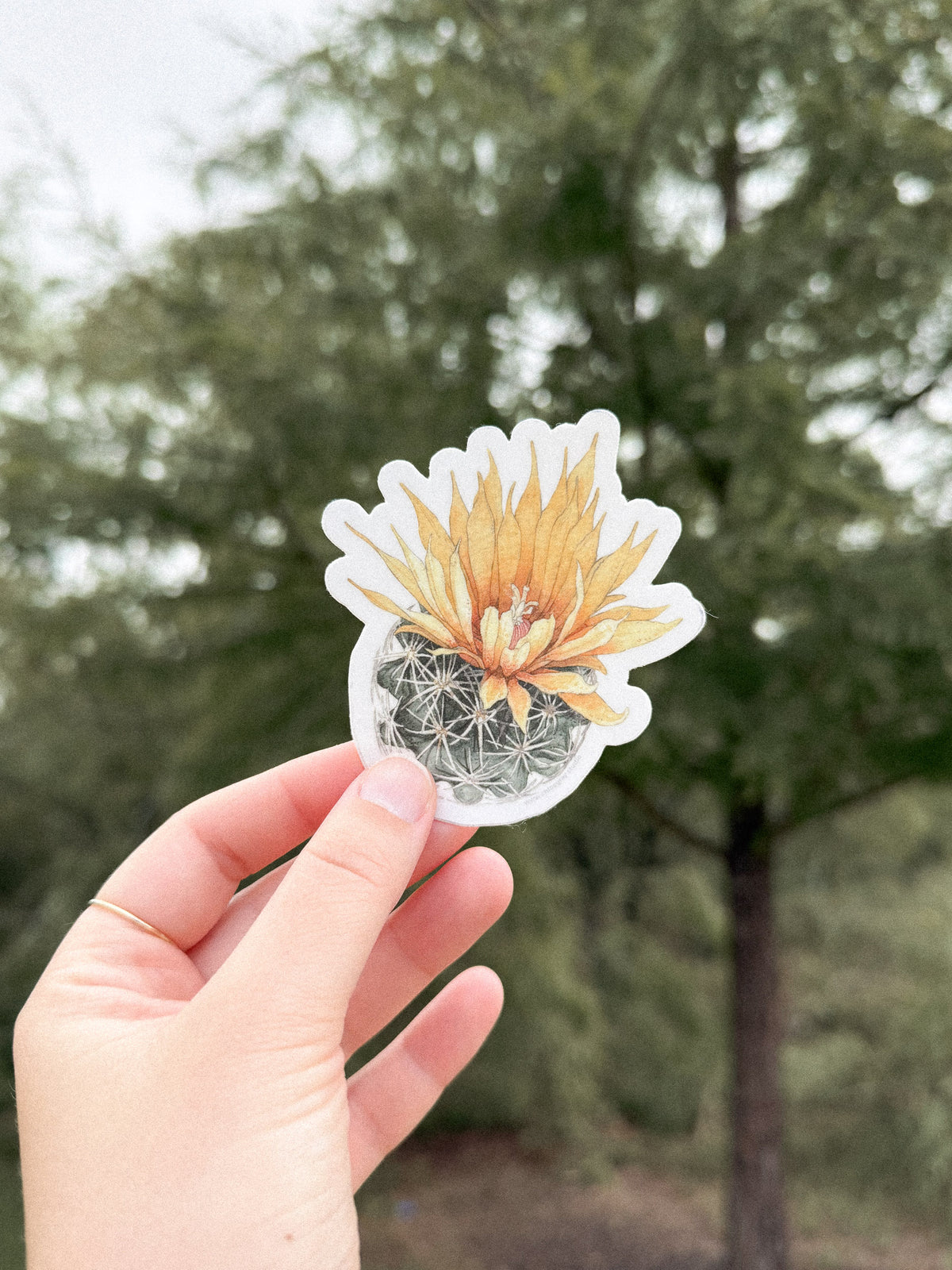 Pineapple Cactus Sticker