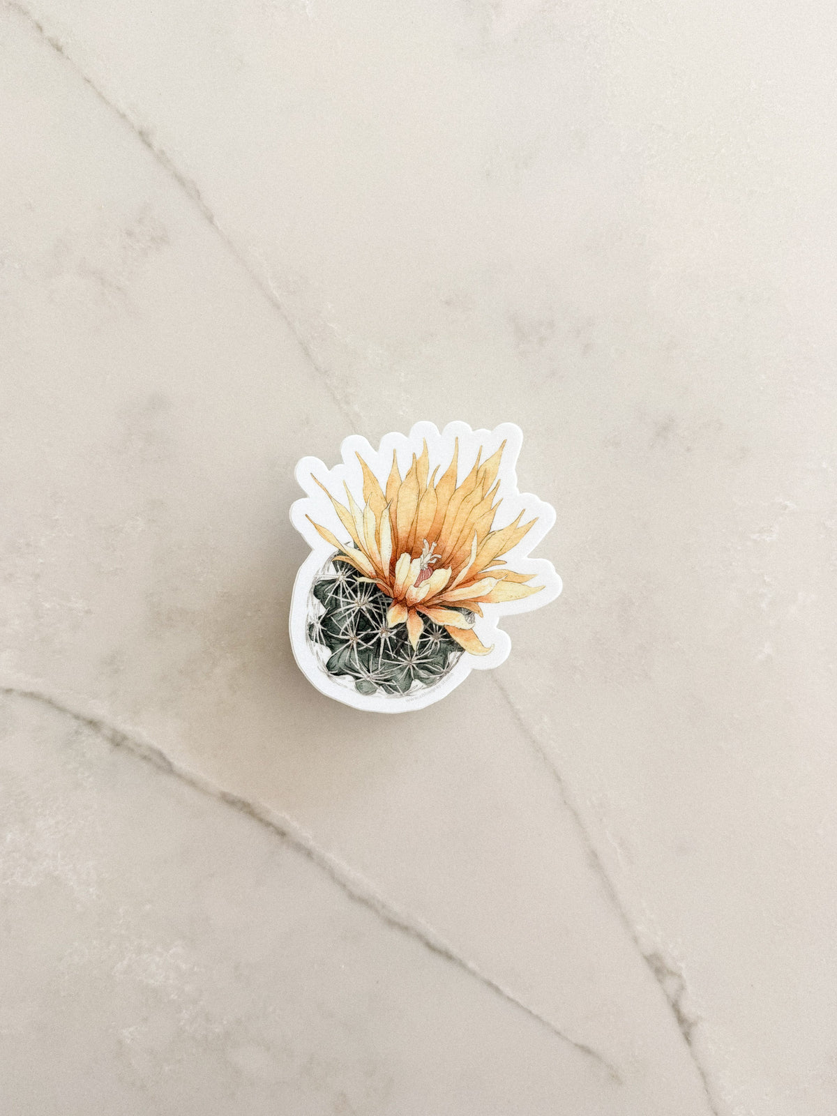 Pineapple Cactus Sticker