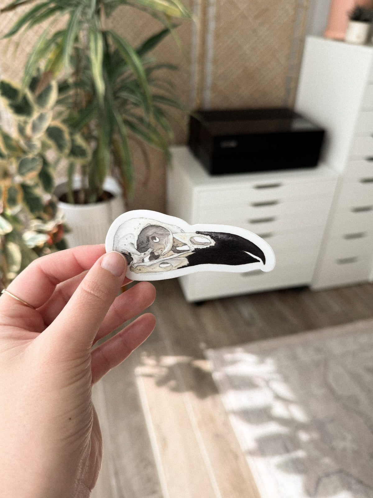Raven Skull Sticker