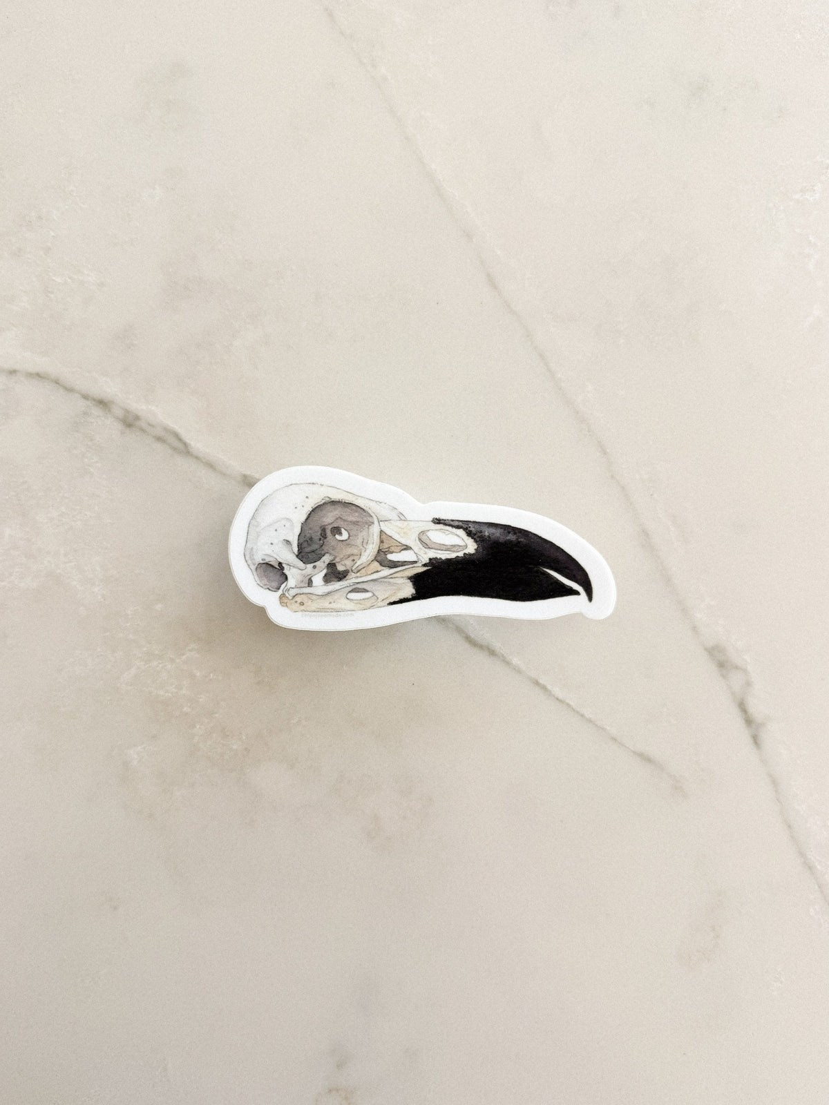 Raven Skull Sticker
