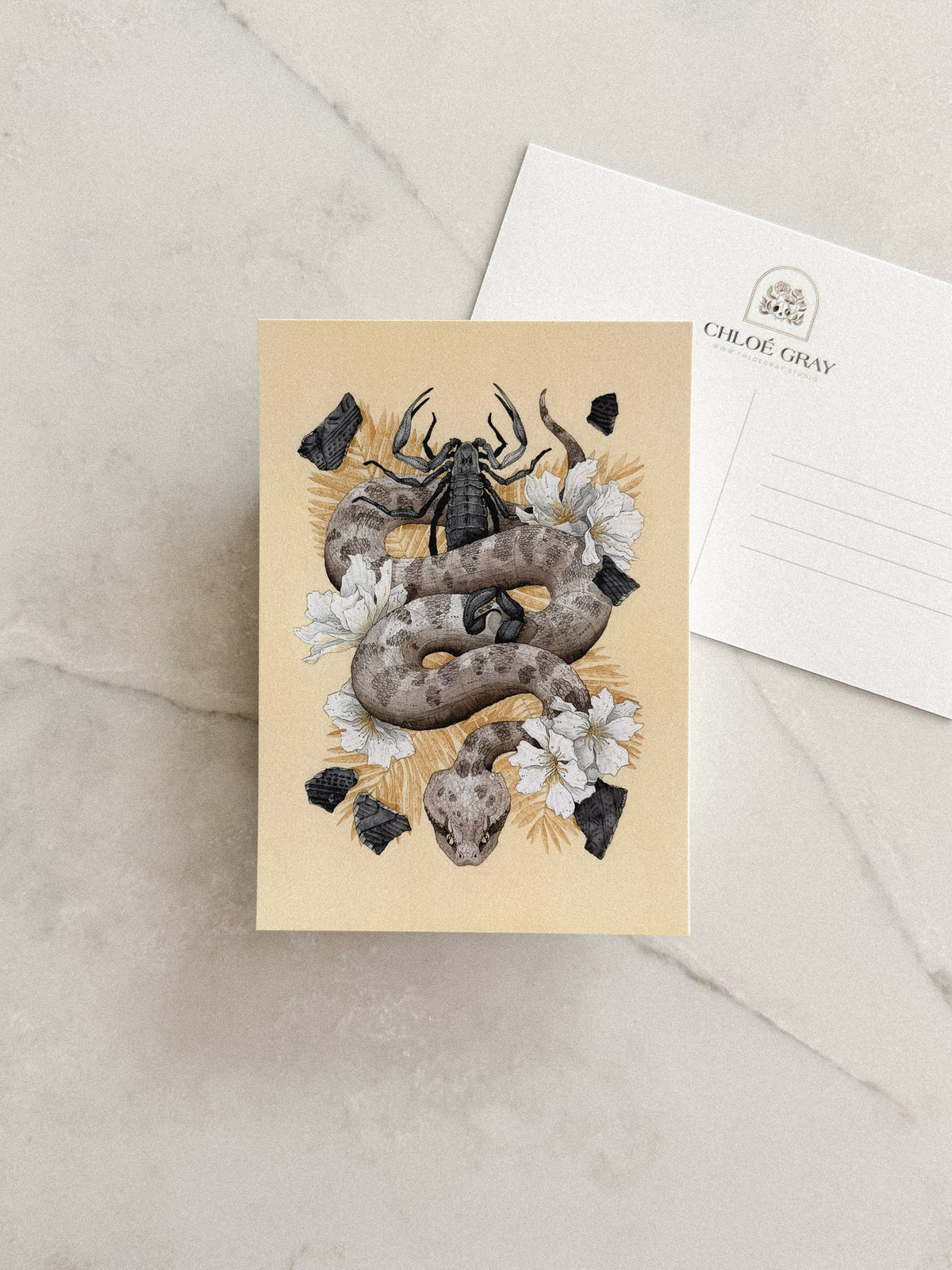 Ruin Postcard
