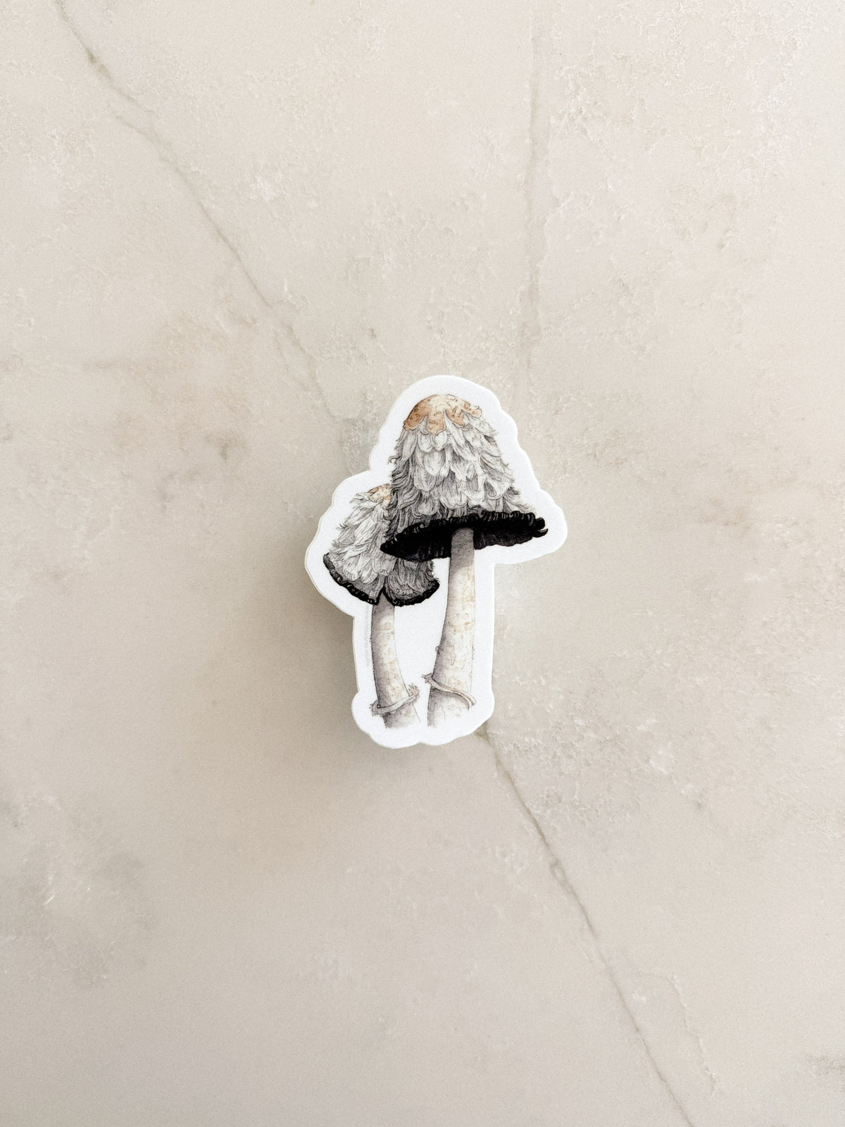 Shaggy Mane Mushrooms Sticker