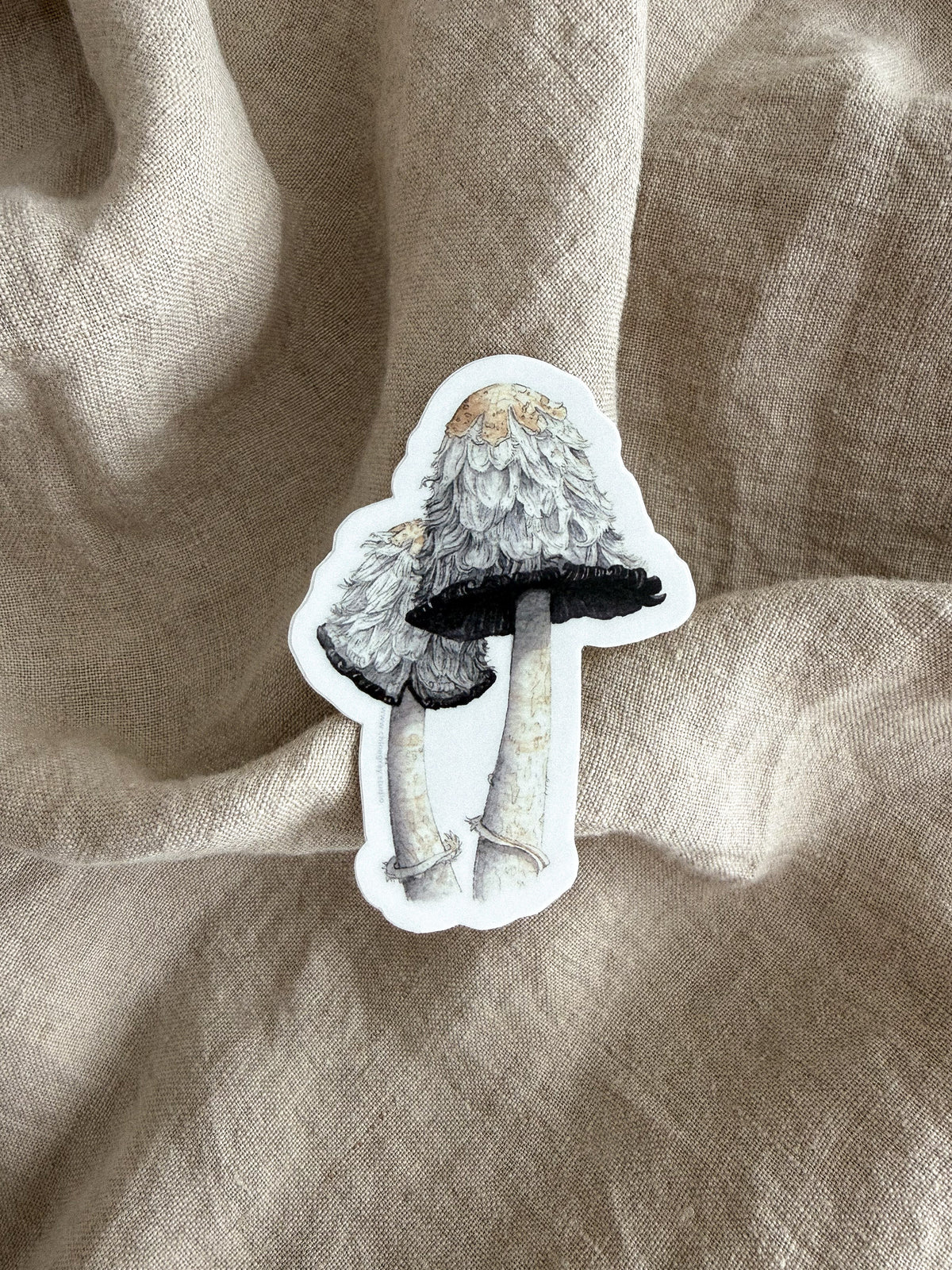 Shaggy Mane Mushrooms Sticker