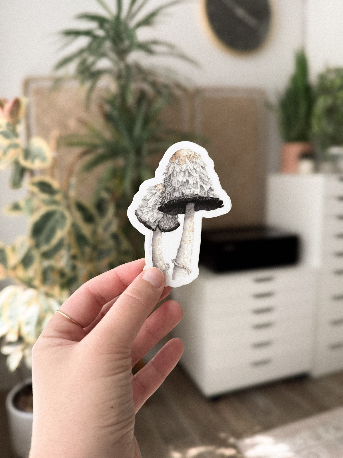 Shaggy Mane Mushrooms Sticker