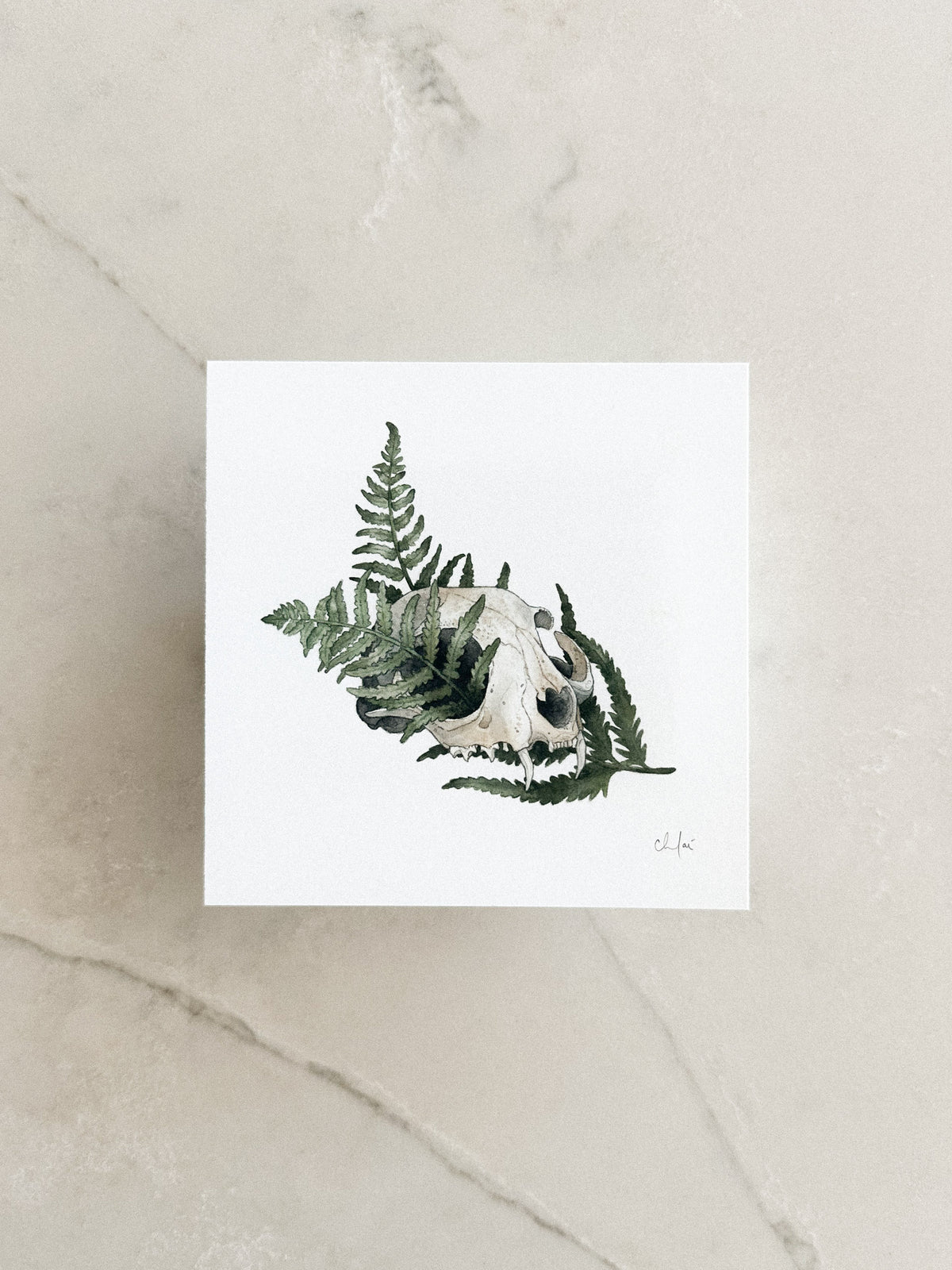 Spirit & Bone Mini Print 5x5