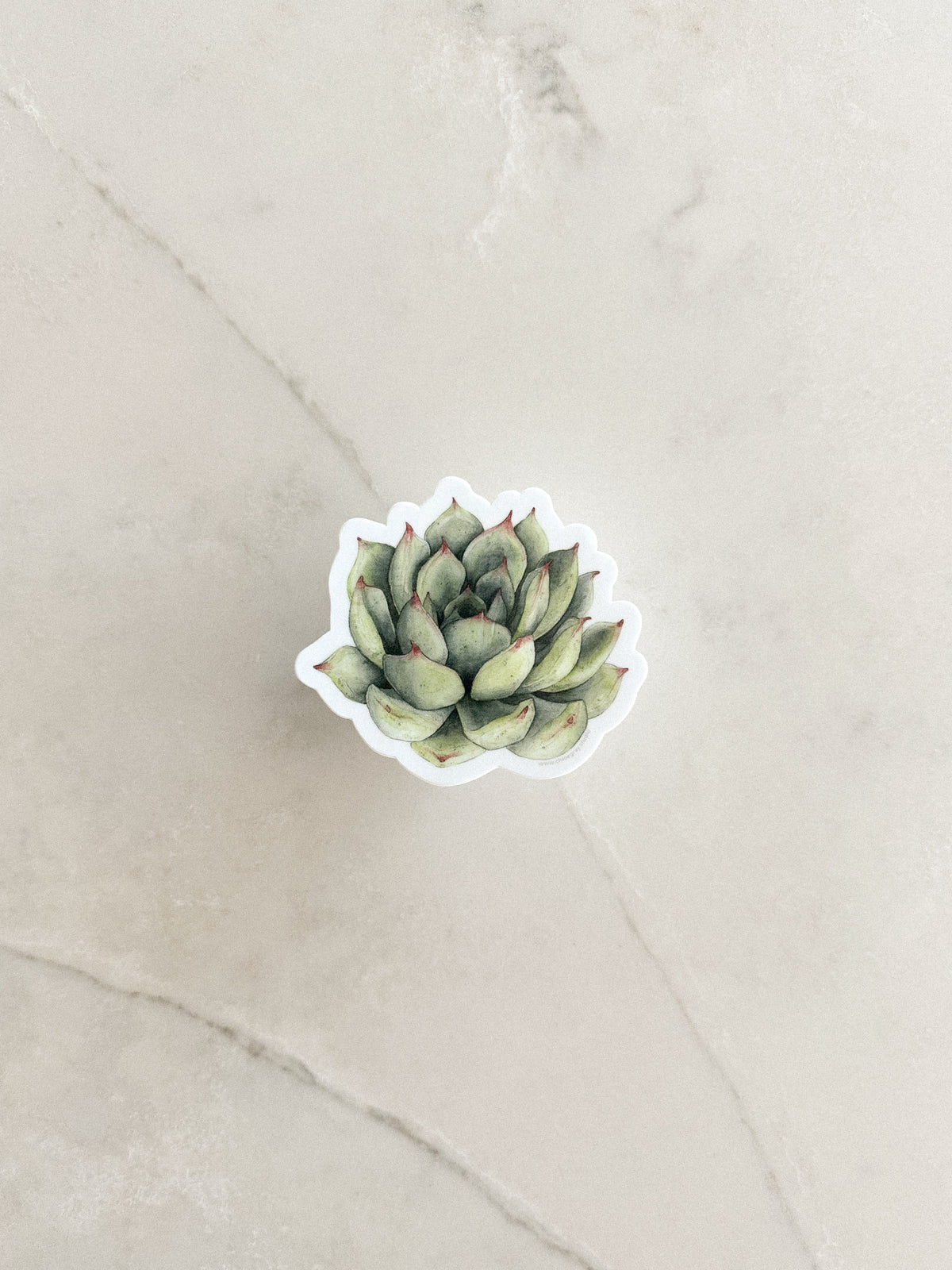 Succulent Sticker