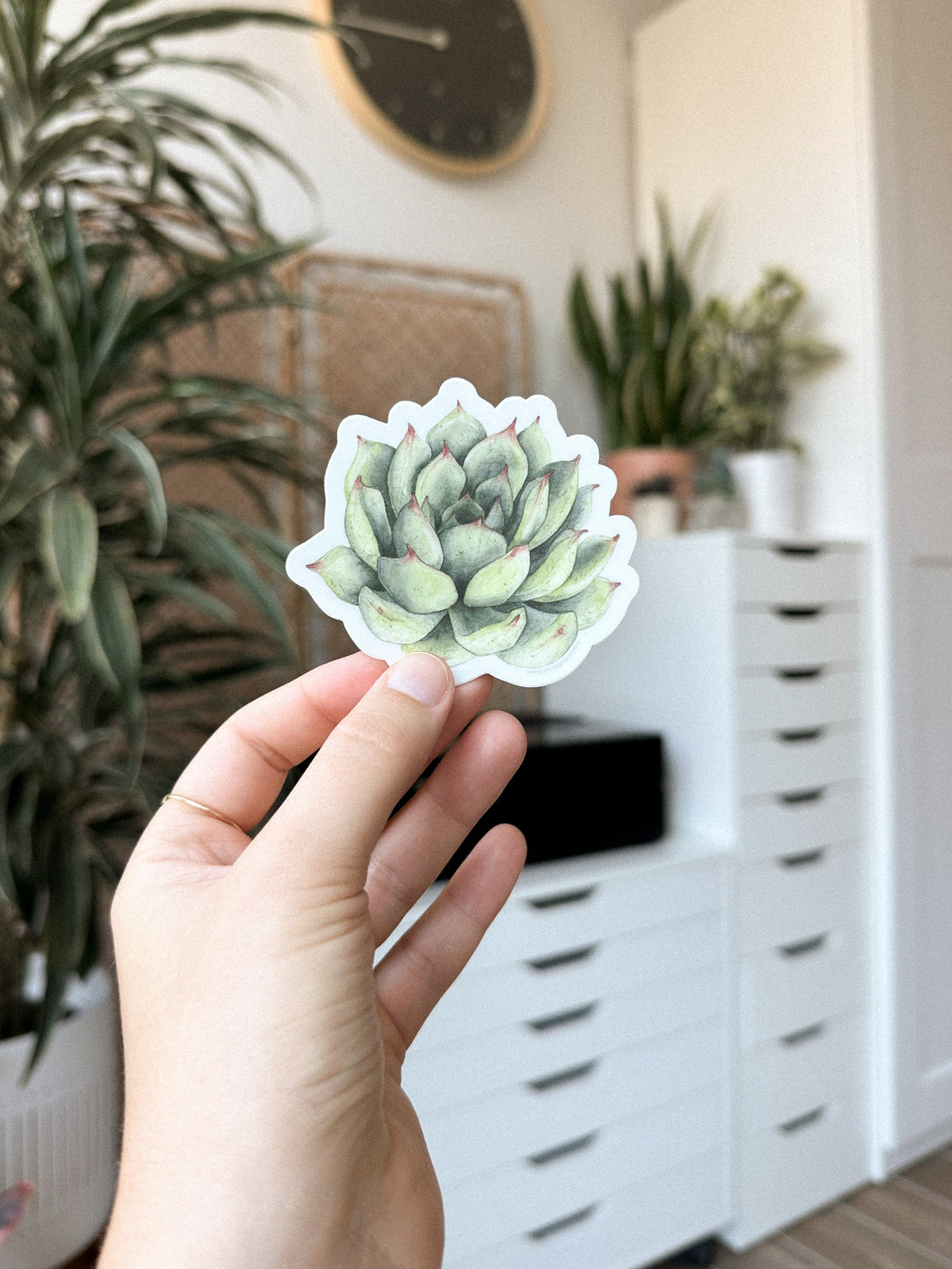 Succulent Sticker