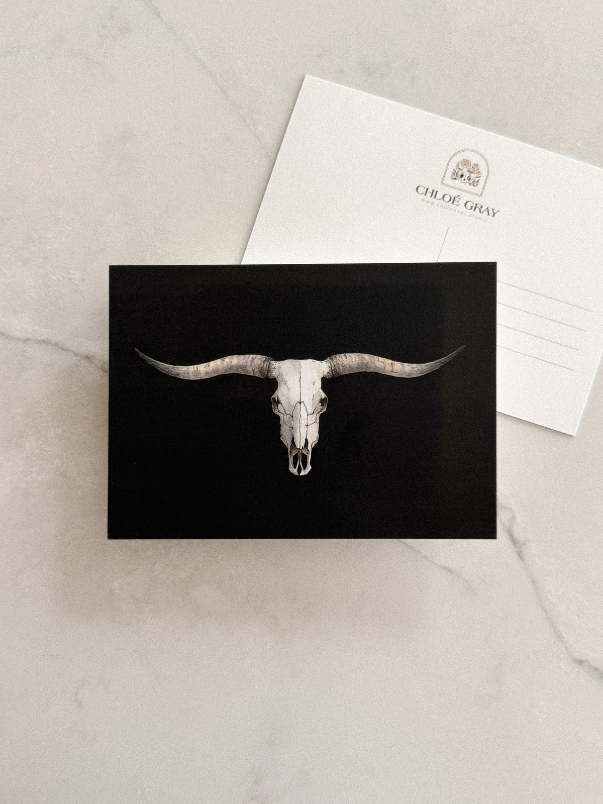 Texas Longhorn Skull Postcard