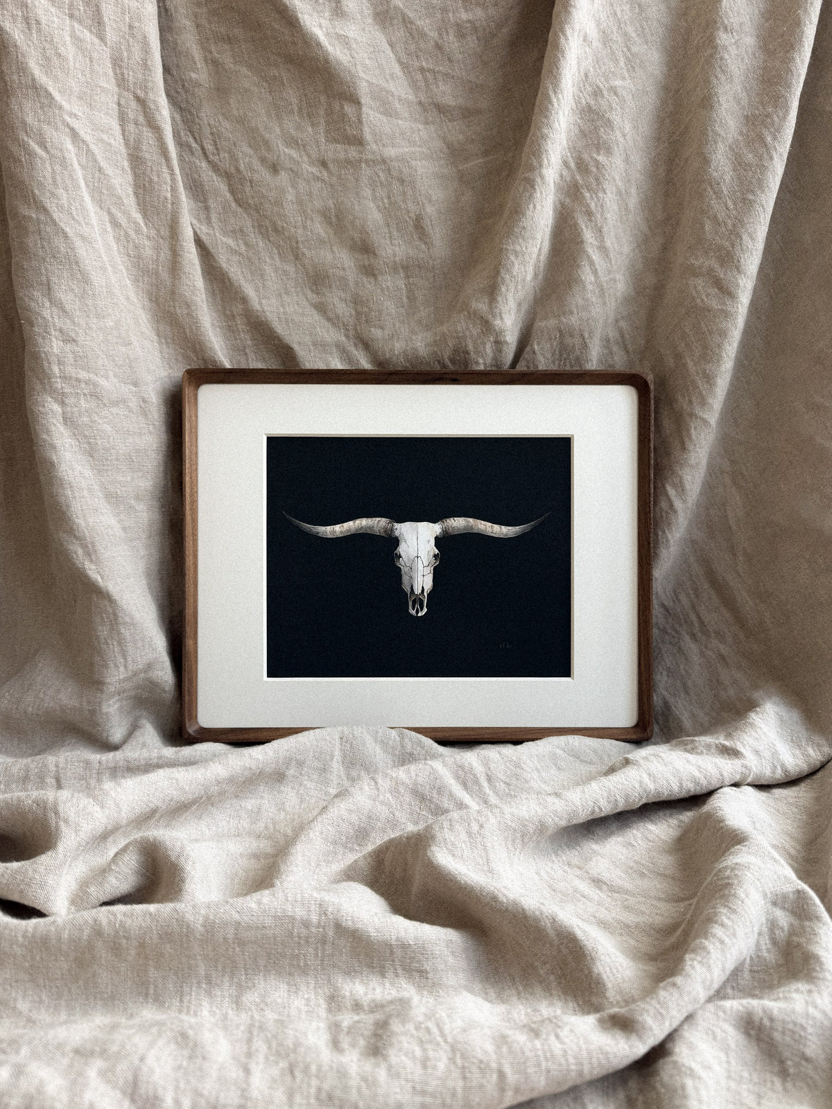 Texas Longhorn Skull Print 8x10