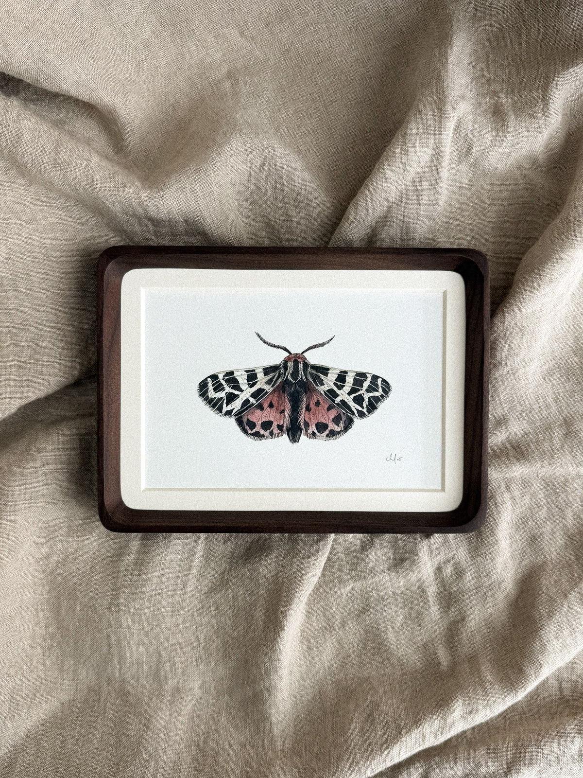 Virgin Tiger Moth Mini Print 4x6
